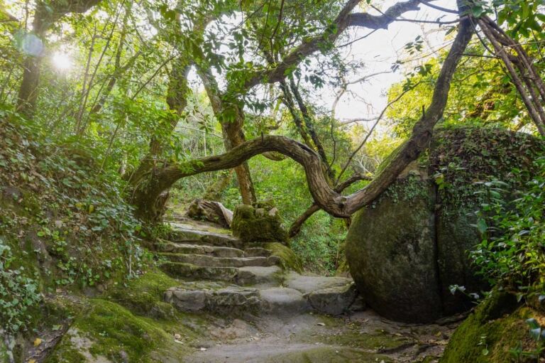 Best Things to do in sintra Serra se Sintra