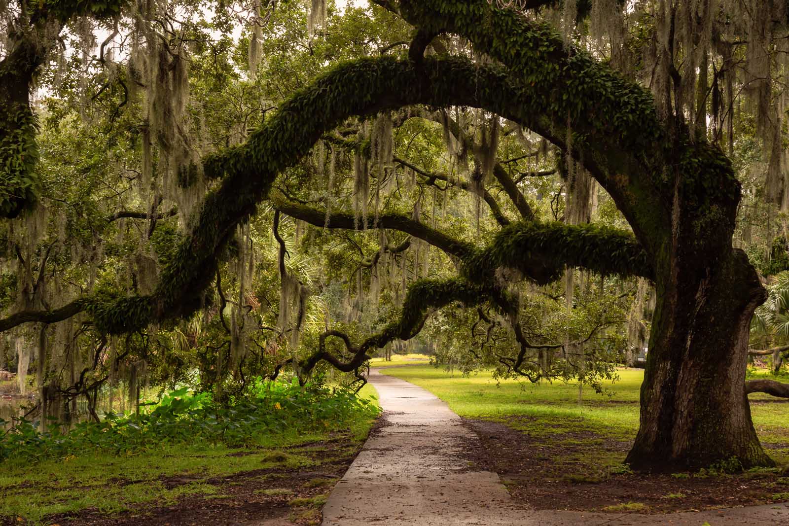 Best Things to do in New Orleans City Park