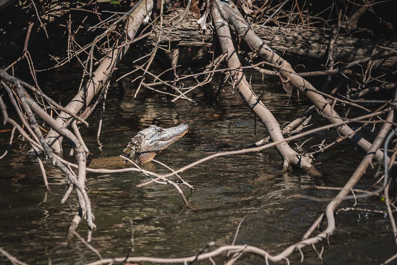 Jean Lafitte National Historical Park