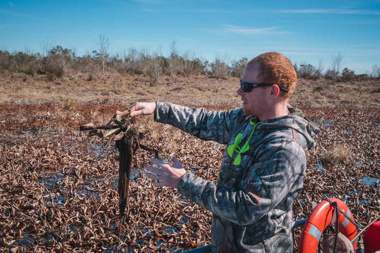 Things to do near New Orleans Swamp Tour
