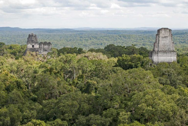 things to do in guatemala tiakal temples above jungle canopy