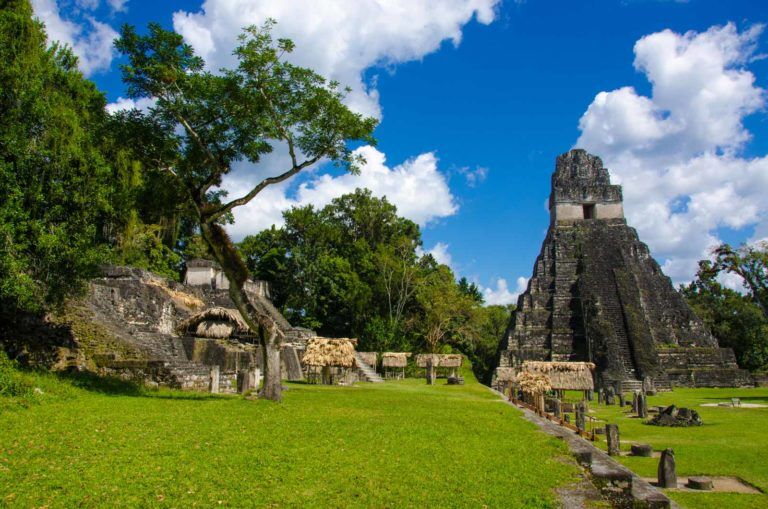things to do in guatemala mayan ruins of tikal