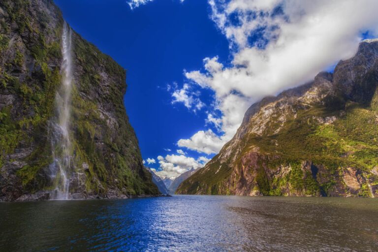 best things to do in new zealand milford sound cruise