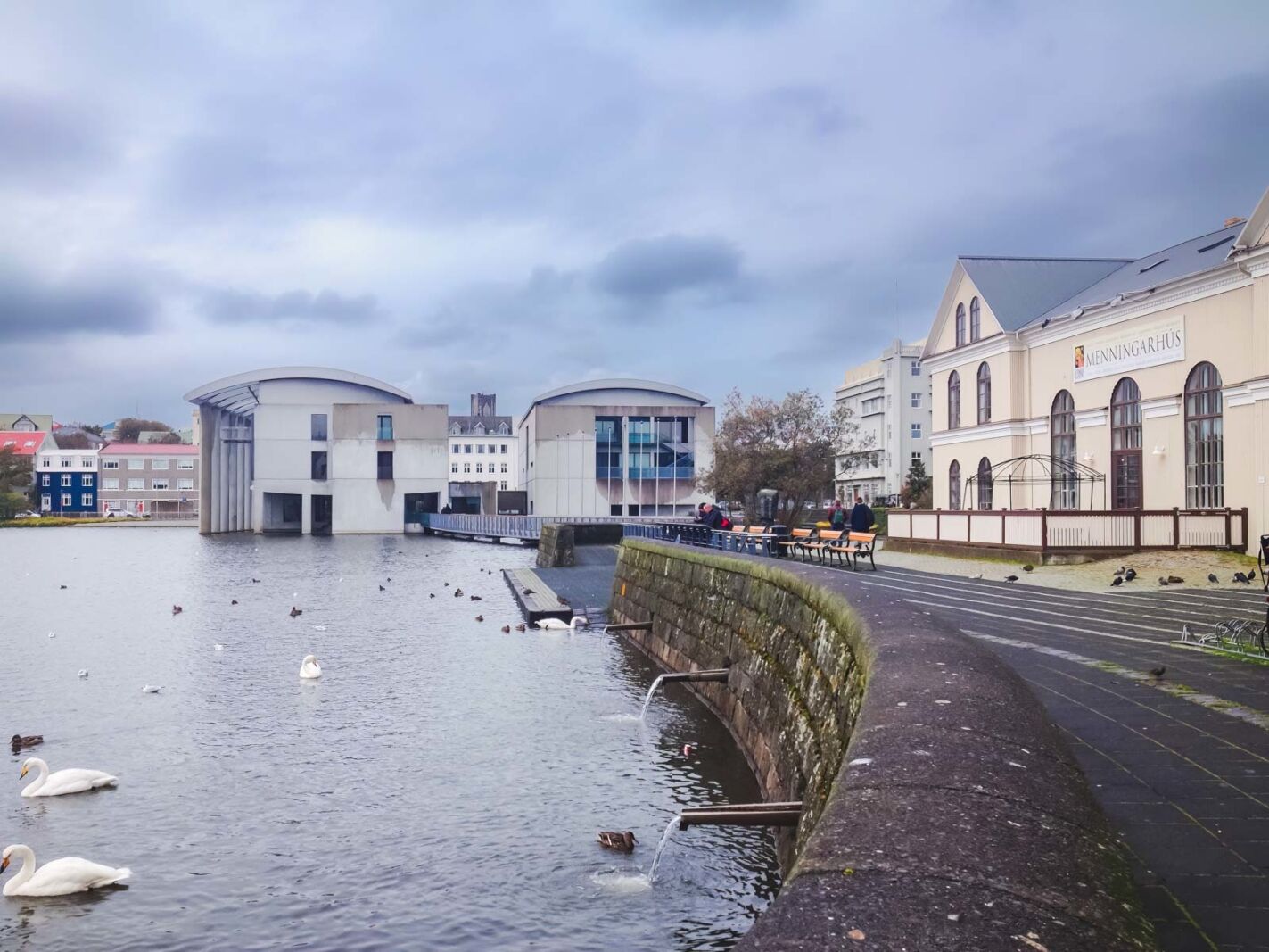 Things to do in Reykjavik Walking Tour