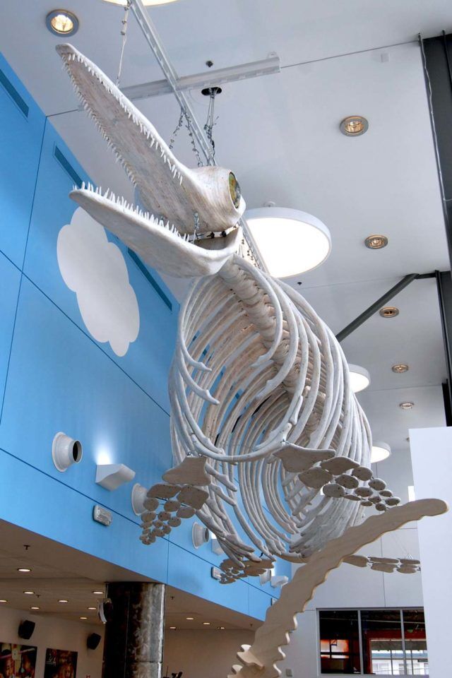 Best Things to do in Reno Nevada The Discovery Museum